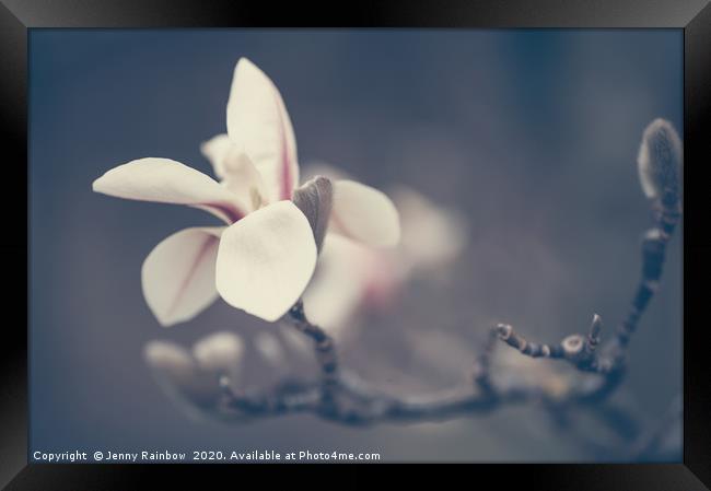 Zen Magnolia Flower Boho Style Framed Print by Jenny Rainbow