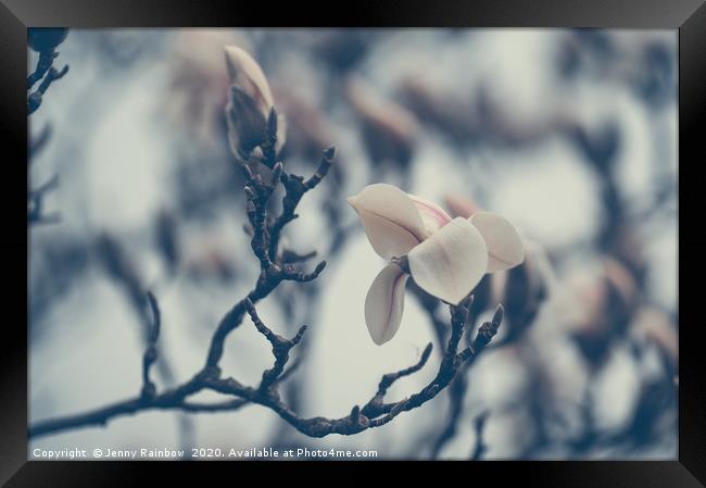Zen Magnolia Branches Boho Style Framed Print by Jenny Rainbow
