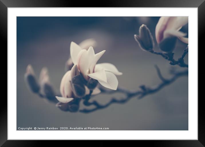 Zen Magnolia Flowers Boho Style Framed Mounted Print by Jenny Rainbow