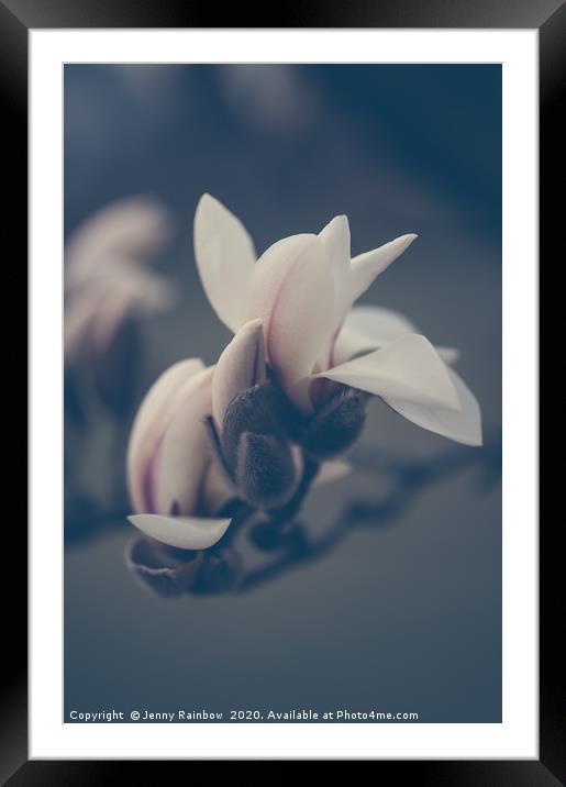 Zen Magnolia Opening Buds Boho Style Framed Mounted Print by Jenny Rainbow