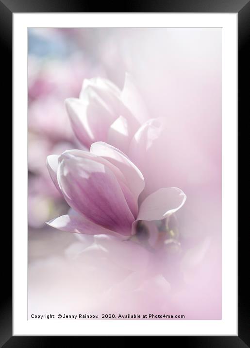 Dreamy  Blooms of Chinese Magnolia Framed Mounted Print by Jenny Rainbow