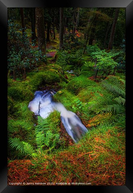Tiny Waterstream in Benmore Botanic Garden Framed Print by Jenny Rainbow