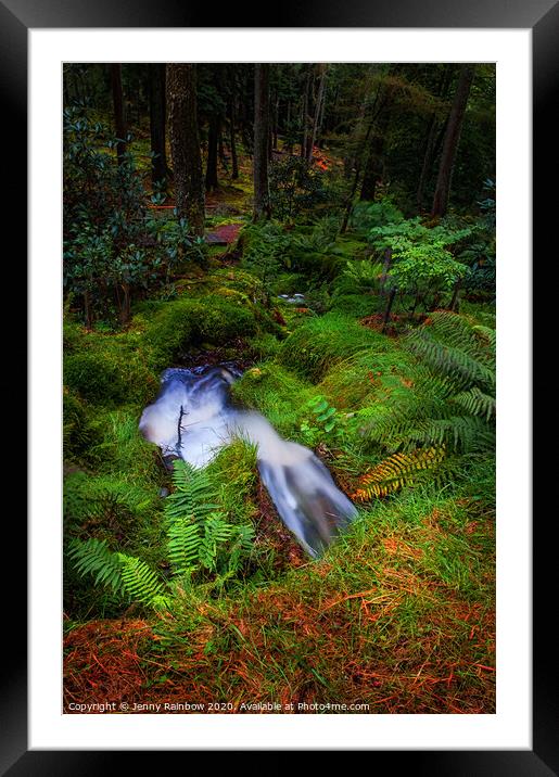 Tiny Waterstream in Benmore Botanic Garden Framed Mounted Print by Jenny Rainbow