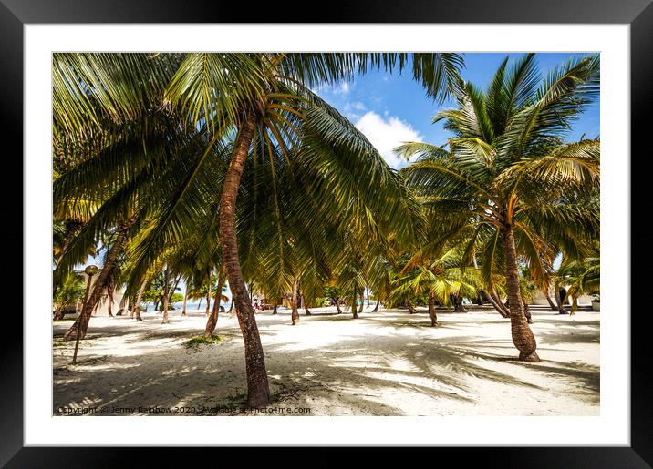 Palms. Palms. Palms. Maldivian Island Framed Mounted Print by Jenny Rainbow