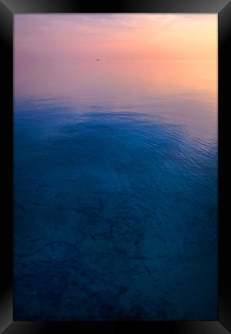 Peaceful Sunrise Framed Print by Jenny Rainbow