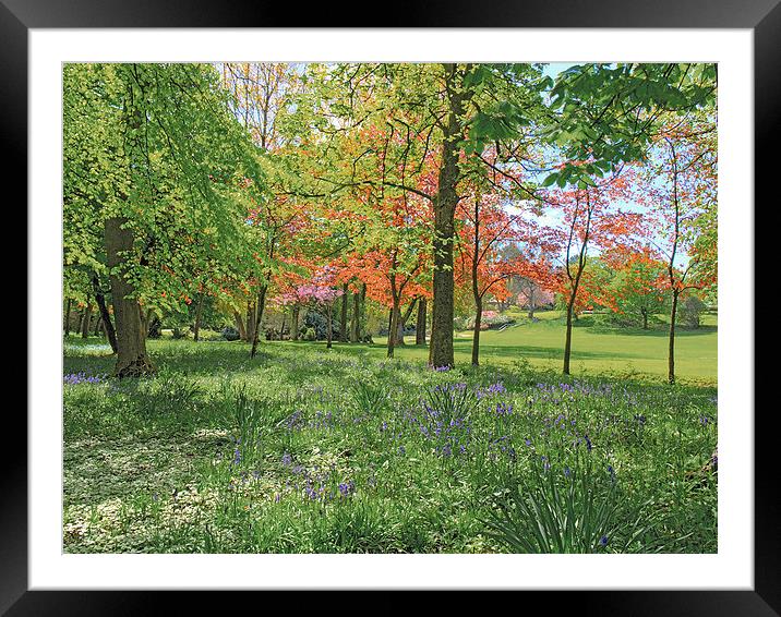 Natures Pallette Framed Mounted Print by Mike Dickinson
