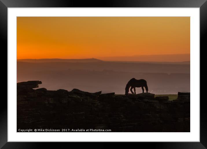 A Stallion's sunset Framed Mounted Print by Mike Dickinson