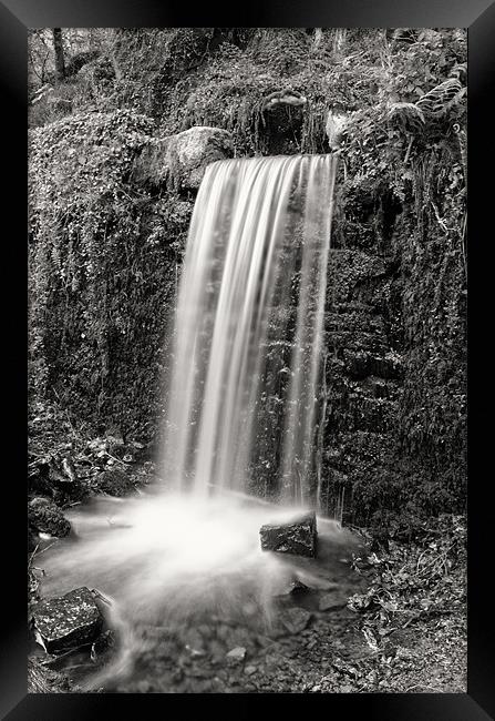 Woodland waterfall B&W Framed Print by Steve Cowe