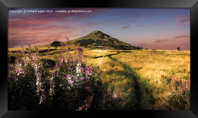 Golden Fields of Roseberry Topping Framed Print by richard sayer