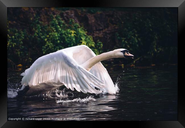 Powered Flight Framed Print by richard sayer