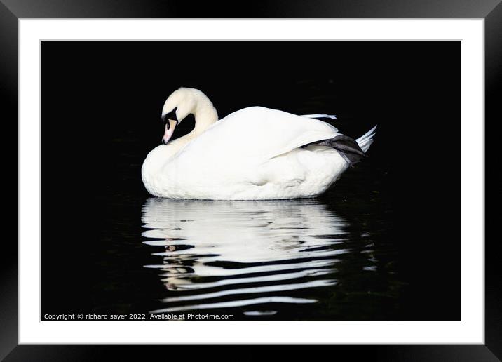 Reflections of Grace Framed Mounted Print by richard sayer