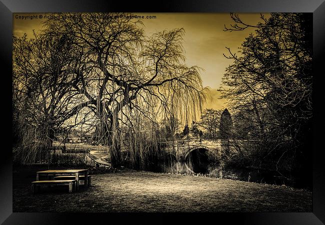  Tranquility Framed Print by richard sayer