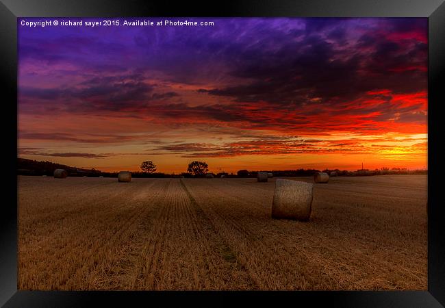  Rainbow Field Framed Print by richard sayer