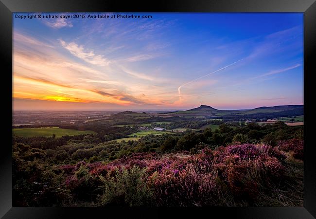  Purple Majesty Framed Print by richard sayer