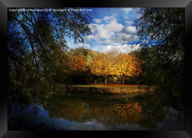  Autumns Touch Framed Print by richard sayer