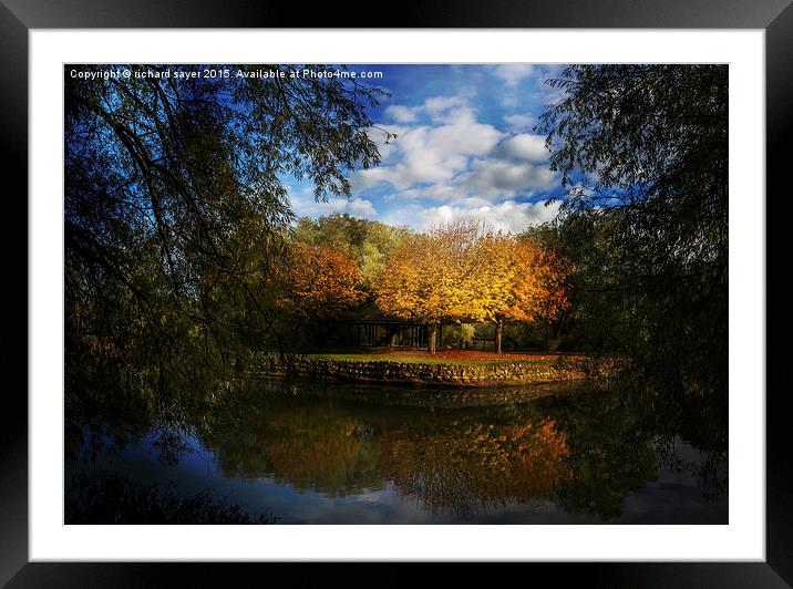  Autumns Touch Framed Mounted Print by richard sayer