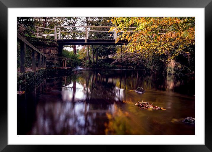 Autumnal Tranquility Framed Mounted Print by richard sayer