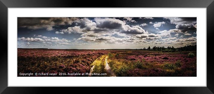 Heather Moor Framed Mounted Print by richard sayer