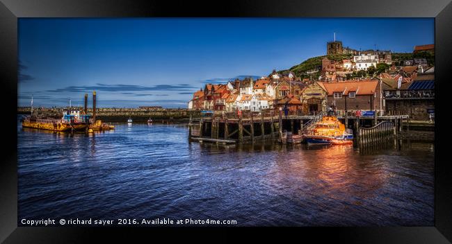 Safe and Sound Framed Print by richard sayer