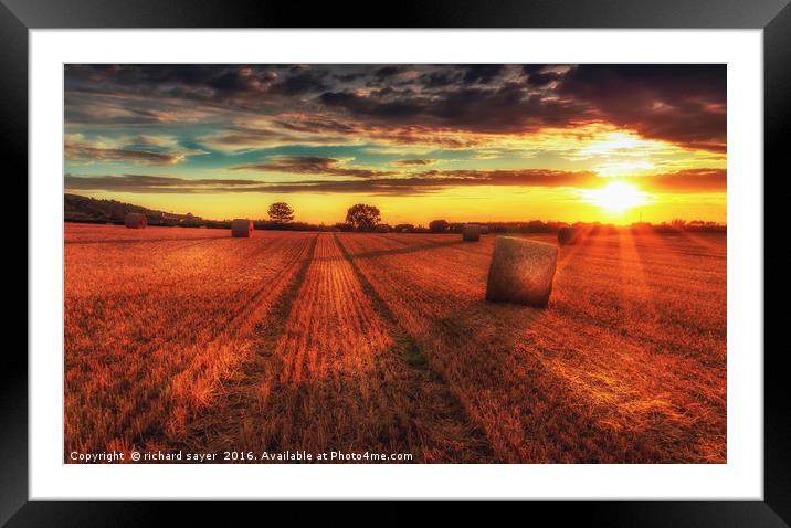 Farmers work Framed Mounted Print by richard sayer