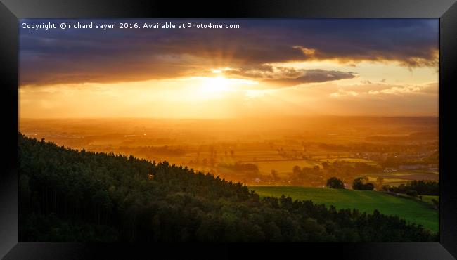 Gribdale Gold Framed Print by richard sayer