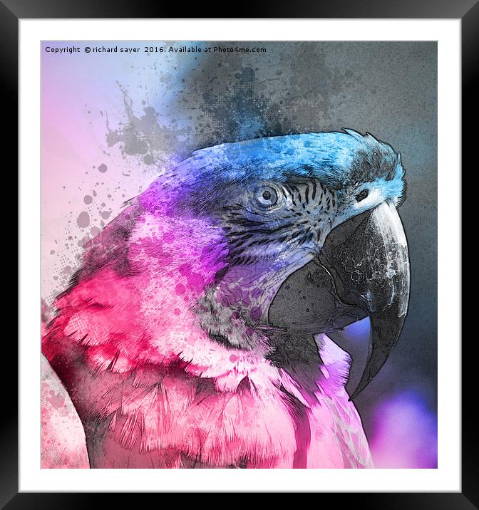 Pretty Polly Framed Mounted Print by richard sayer