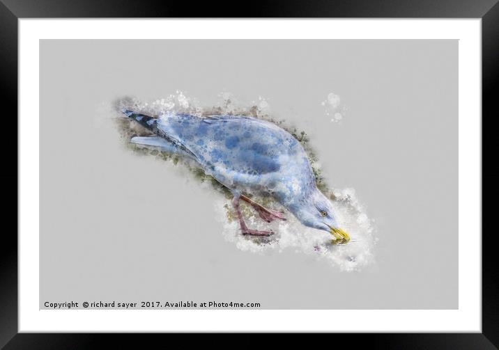 Water Colour Gull Framed Mounted Print by richard sayer