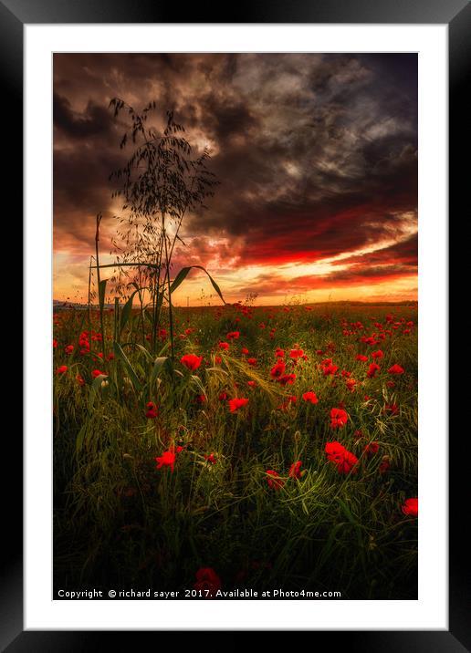 Symphony of Remembrance Framed Mounted Print by richard sayer