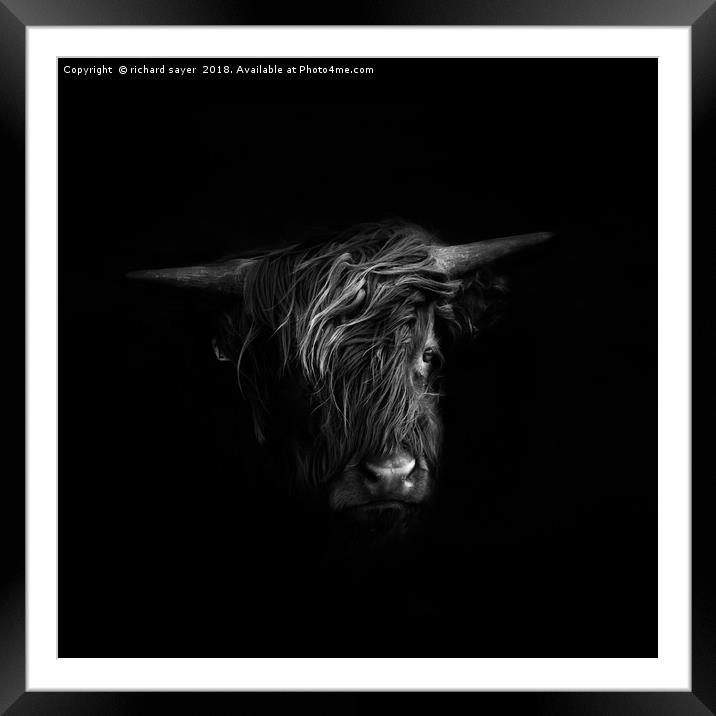 Highland Black and White Framed Mounted Print by richard sayer
