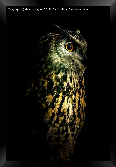Eagle Owl Portrait Framed Print by richard sayer