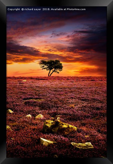 Egton Moor Sunset Framed Print by richard sayer