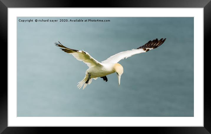 Patient Hunter Framed Mounted Print by richard sayer