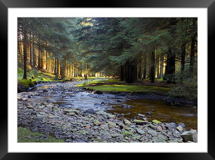 Snake Pass Woodlands Framed Mounted Print by Steve Connolly