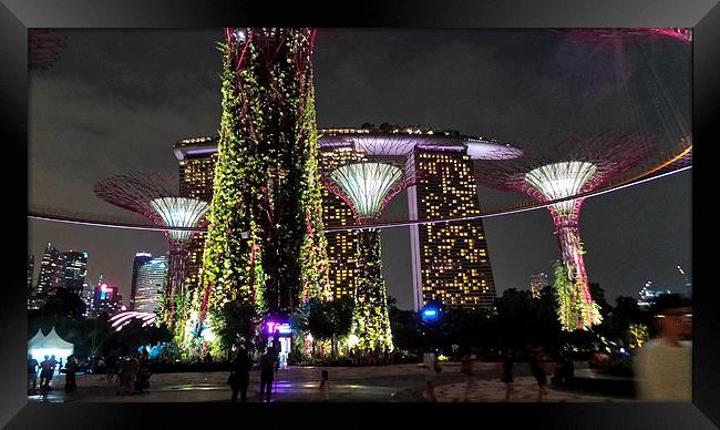 Gardens & Marina Bay Hotel Framed Print by Mark McDermott