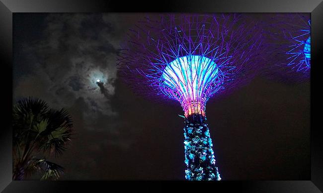 Gardens by the Bay & Moon Framed Print by Mark McDermott