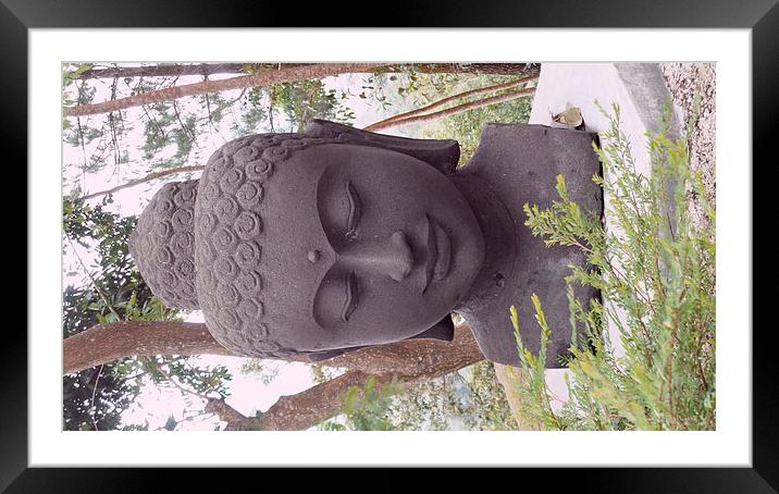  Buddha in the Jungle Framed Mounted Print by Mark McDermott