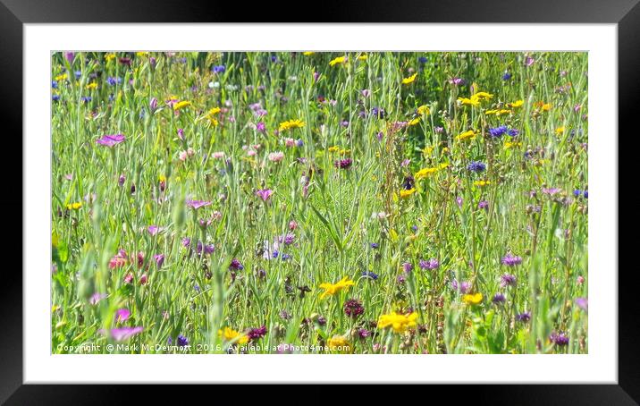 Wild Flower Field Framed Mounted Print by Mark McDermott