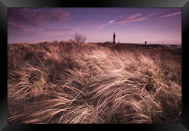 Spurn point lighthouse Framed Print by Leon Conway