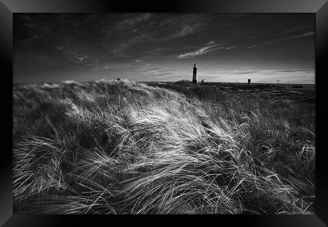 Spurn point light house Framed Print by Leon Conway
