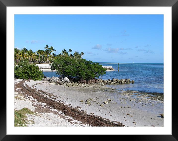 Tropical shores. Framed Mounted Print by Lee Mullins