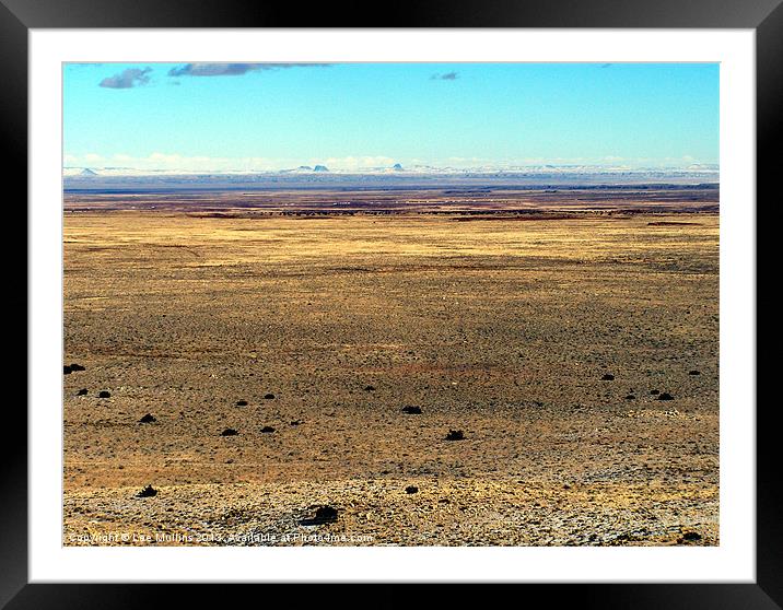 The high desert plain Framed Mounted Print by Lee Mullins