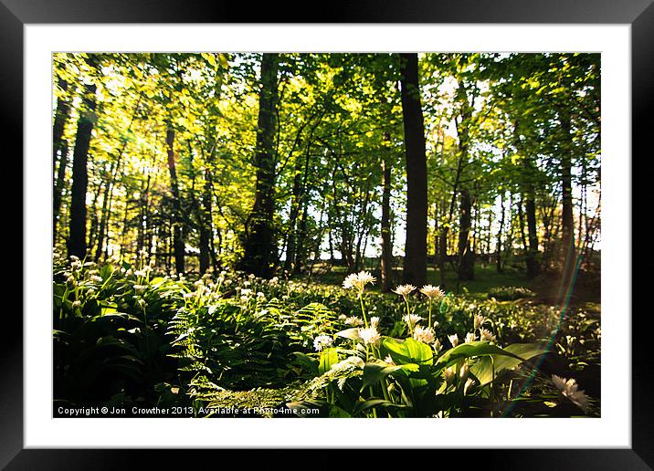 Morning Flair Framed Mounted Print by Jon  Crowther
