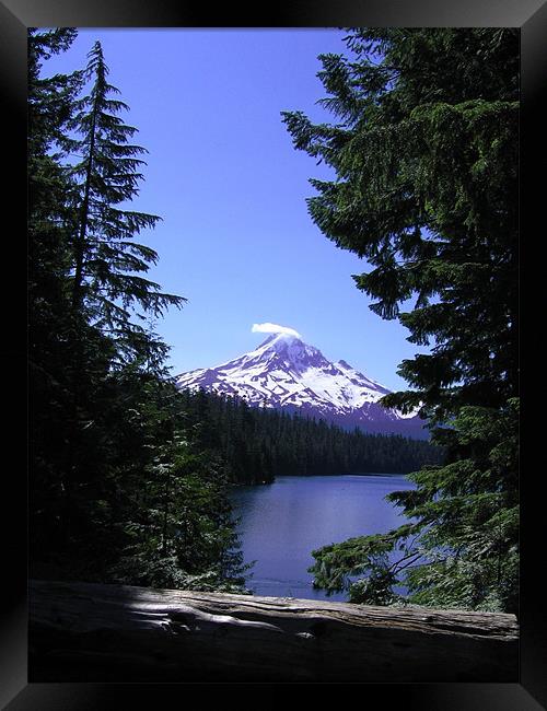 Mount Hood, Lost Lake, Oregon Framed Print by Jay Huckins
