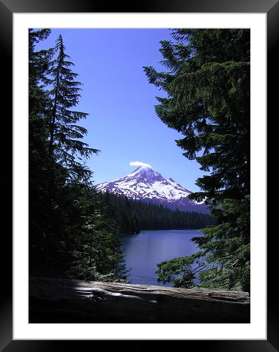 Mount Hood, Lost Lake, Oregon Framed Mounted Print by Jay Huckins