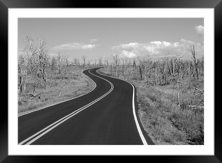 Mesa Verde Ghost Forest Road Framed Mounted Print by Jay Huckins