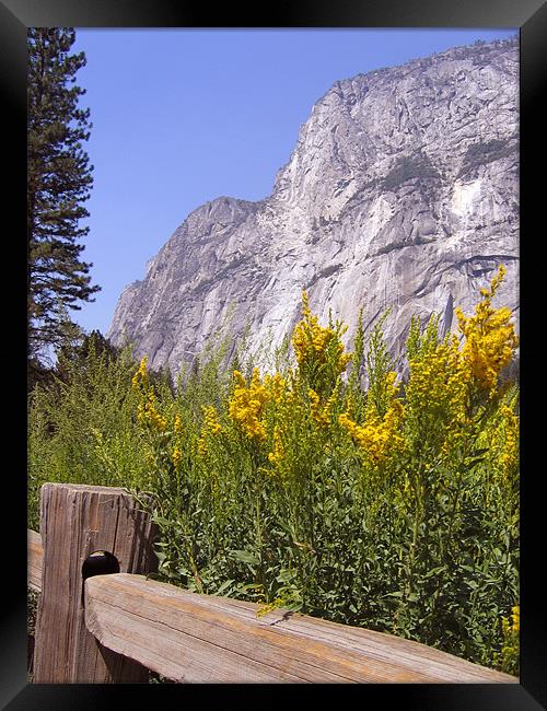 El Capitan, Yosemite National Park Framed Print by Jay Huckins