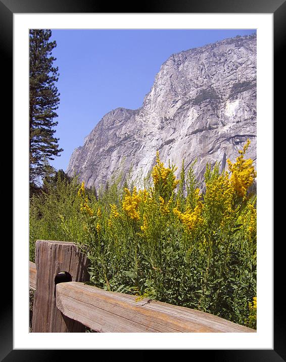 El Capitan, Yosemite National Park Framed Mounted Print by Jay Huckins