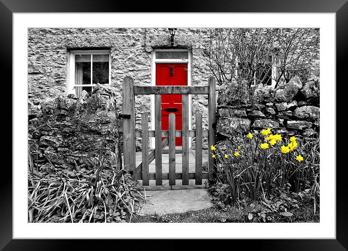 Selective Colouring Framed Mounted Print by Gary Kenyon