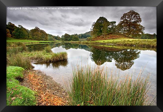  Reflections On The River Brathay Framed Print by Gary Kenyon
