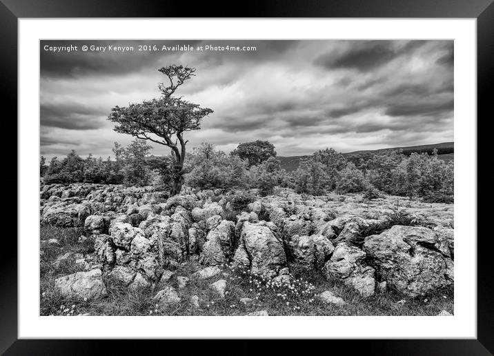 Moody Skies Over the Limestone Pavement Framed Mounted Print by Gary Kenyon